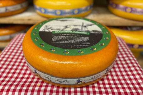 Alter Käse Rabattpaket Alter Käse Rabattpaket